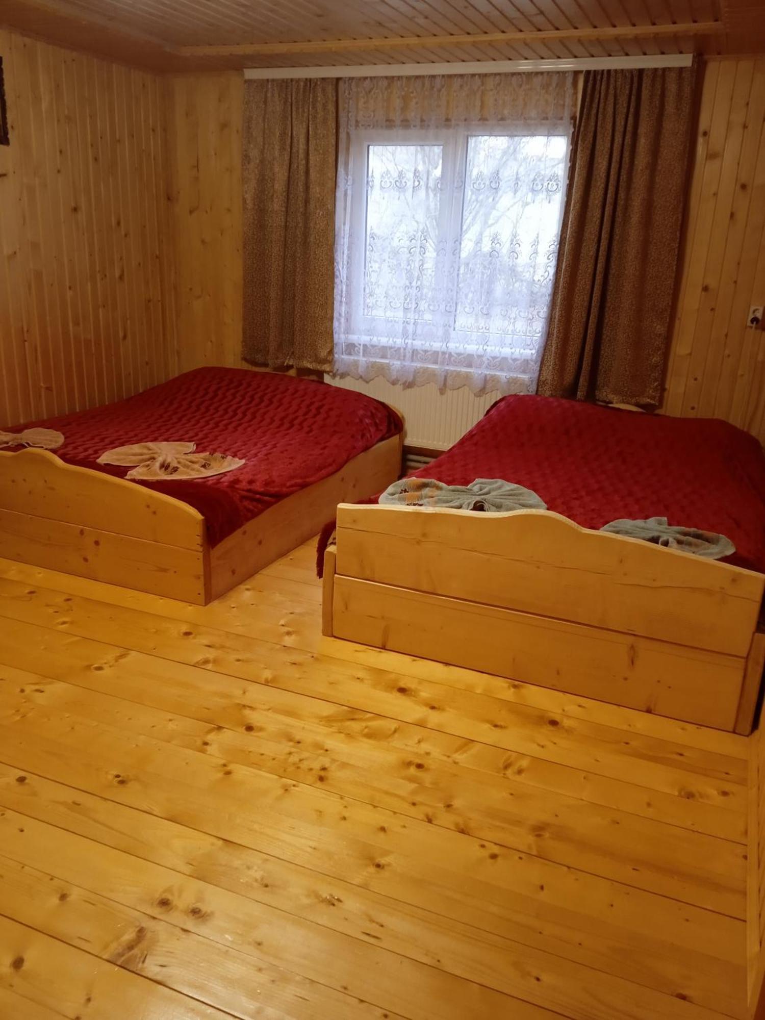 смерека Mykulychyn
