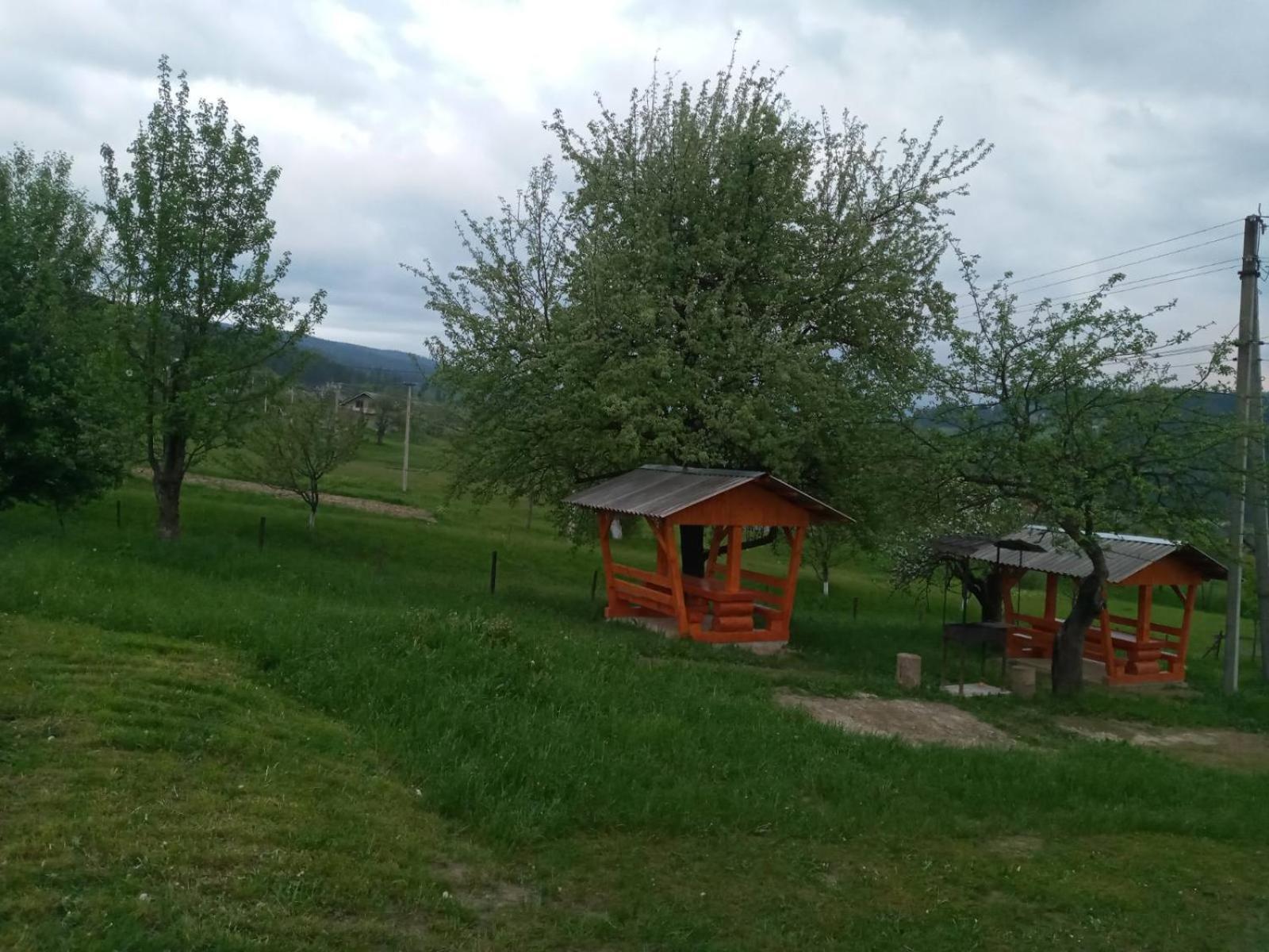 Country house смерека Mykulychyn